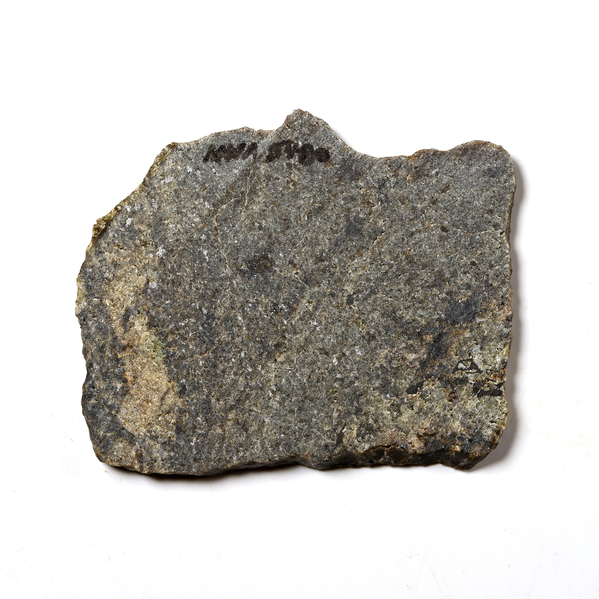 Natural History - Diogenite NWA 5480 Meteorite Slice